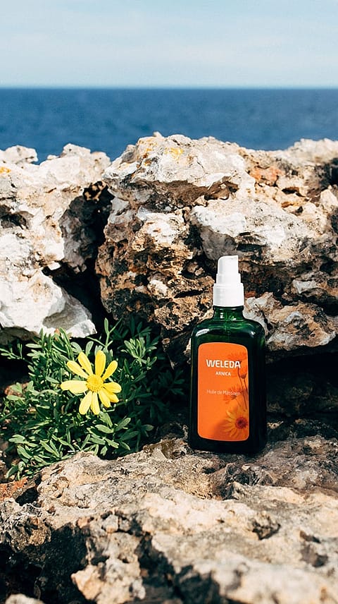 Arnikový masážní olej