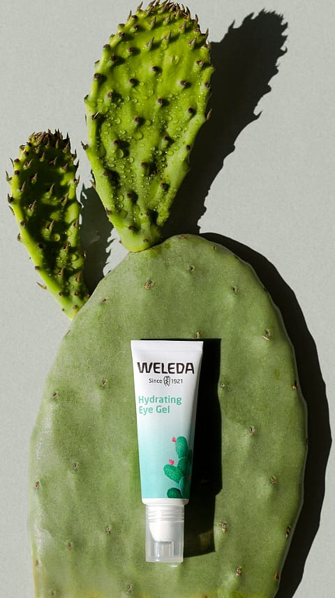 Weleda řada s opuncií