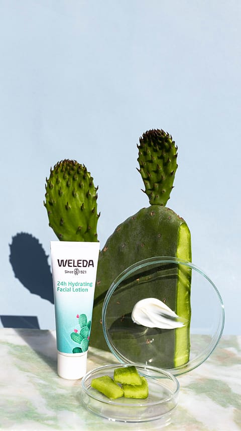 Weleda řada s opuncií