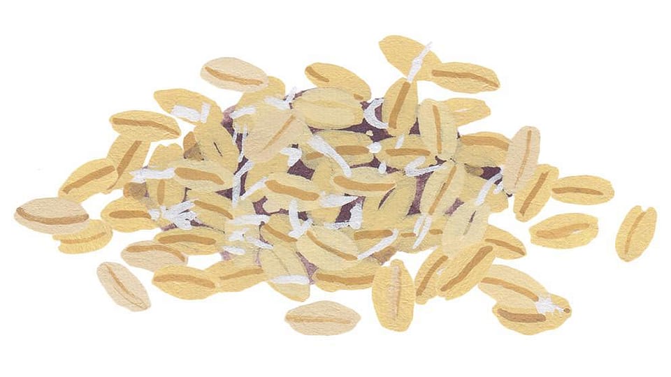 Triticum Vulgare (Wheat) Germ Oil