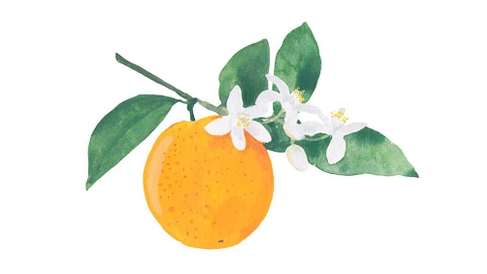 Citrus Aurantium Peel Oil