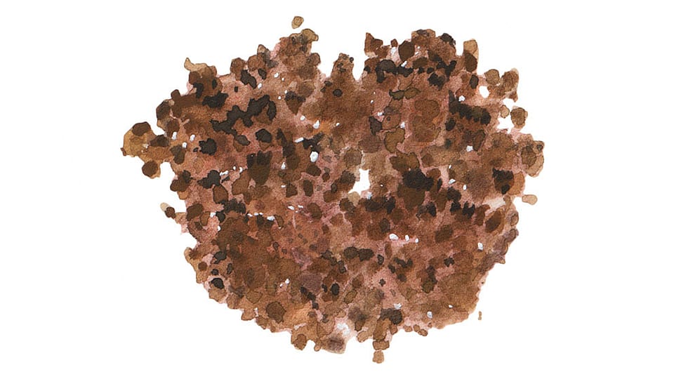 Iron Oxides (CI 77499)